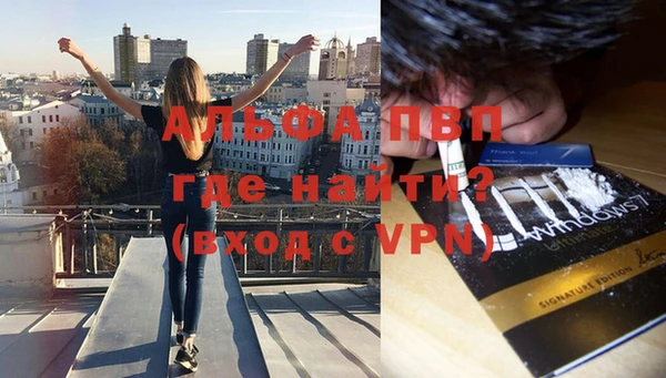 стафф Вяземский