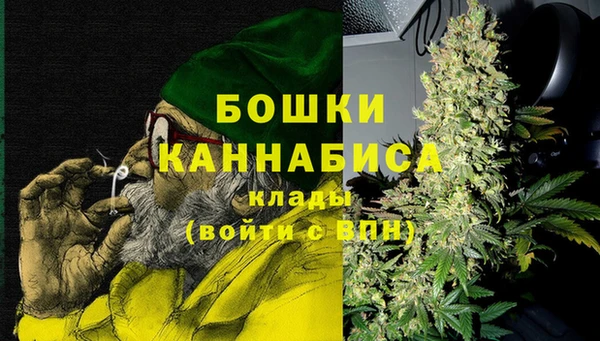 стафф Вяземский