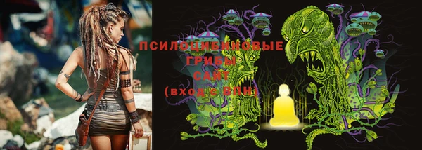 прущая мука Вязники