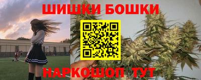 apvp Лесосибирск