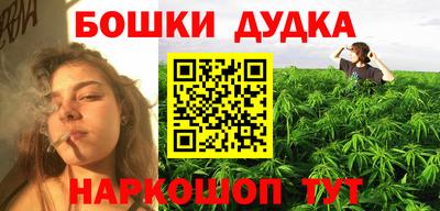 apvp Лесосибирск