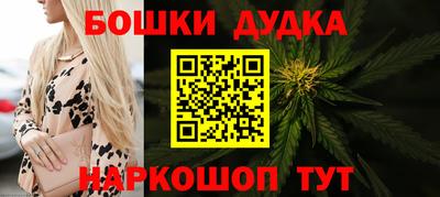 apvp Лесосибирск