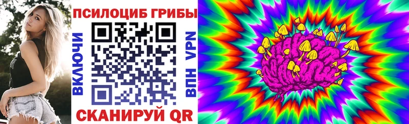 МЕГА ССЫЛКА  Елец  Псилоцибиновые грибы мицелий 