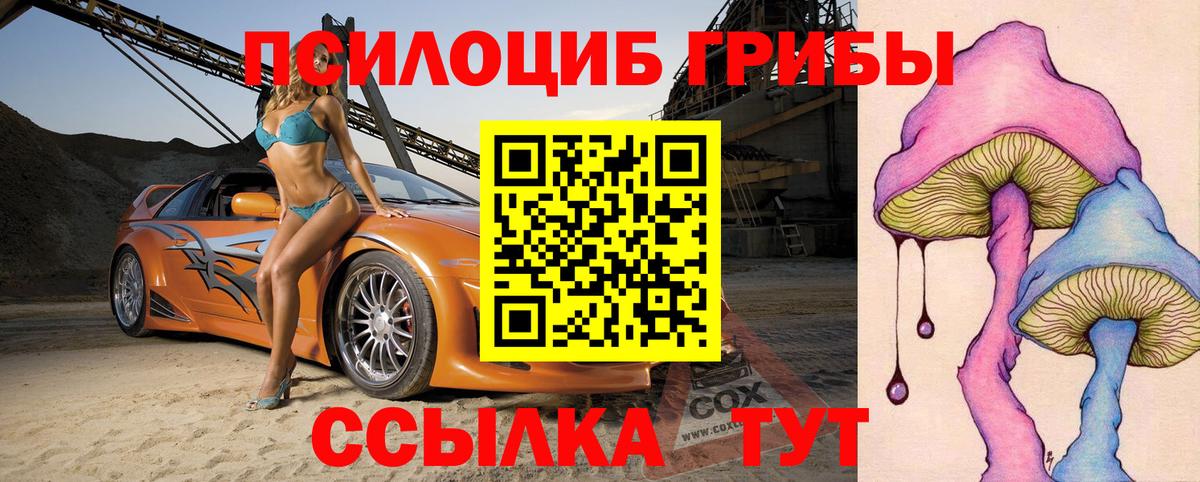 Галлюциногенные грибы MAGIC MUSHROOMS Елец