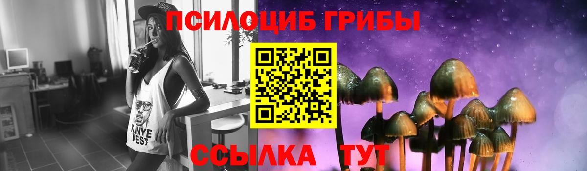 Галлюциногенные грибы MAGIC MUSHROOMS  Галлюциногенные грибы MAGIC MUSHROOMS  Елец  Вход с VPN 